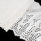 Destock lot 5.2m dentelle broderie anglaise coton écrue largeur 23.5cm