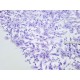 Destock coupon tissu dentelle broderie tulle brodé haute couture taille triangle 75x130x130cm