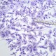 Destock coupon tissu dentelle broderie tulle brodé haute couture taille triangle 60x120x120cm