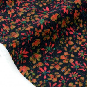 http://aliceboulay.com/23558-57055-thickbox/tissu-liberty-velours-baby-cord-eleonora-138m.jpg