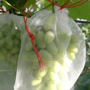 20 sac filet de fruits ensachage anti-insectes anti-oiseaux en nylon 25x15cm