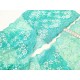 Déstock 6m dentelle élastique japonais haute couture turquoise largeur 16.7cm