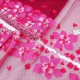 Destock 5.6m dentelle broderie tulle brodé fine haute couture largeur 20cm