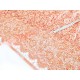 Destock 1.9m tissu dentelle guipure broderie sequin haute couture largeur 115cm