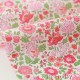 Tissu Liberty tana lawn d'Anjo rose 0.77m