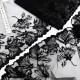 Destock 5.4m dentelle broderie tulle brodé fine haute couture largeur 18cm